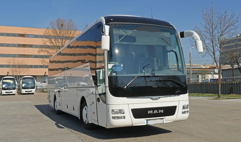 Baden-Württemberg: Buses operator in Rottenburg am Neckar in Rottenburg am Neckar and Germany