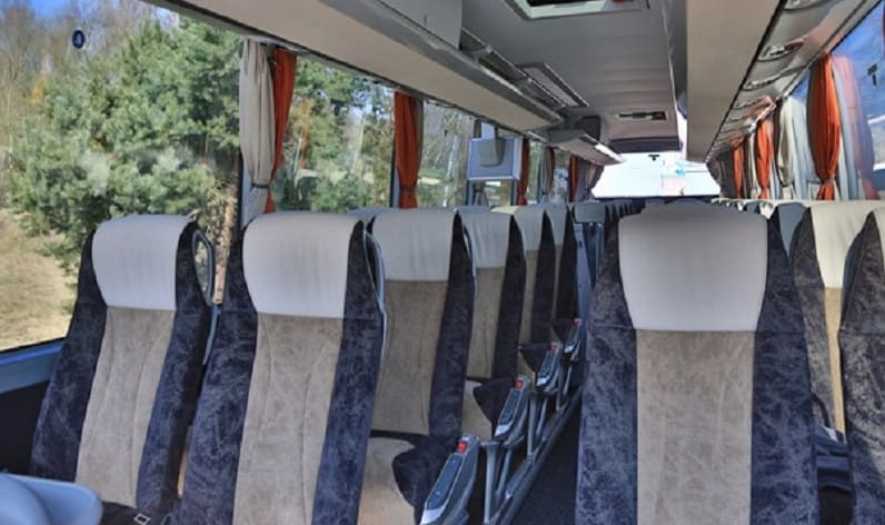 Germany: Coach charter in Baden-Württemberg in Baden-Württemberg and Backnang